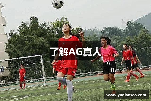了解AG真人